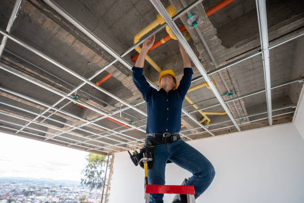 Best Plumbing Services Near Me  in Le Claire, IA
