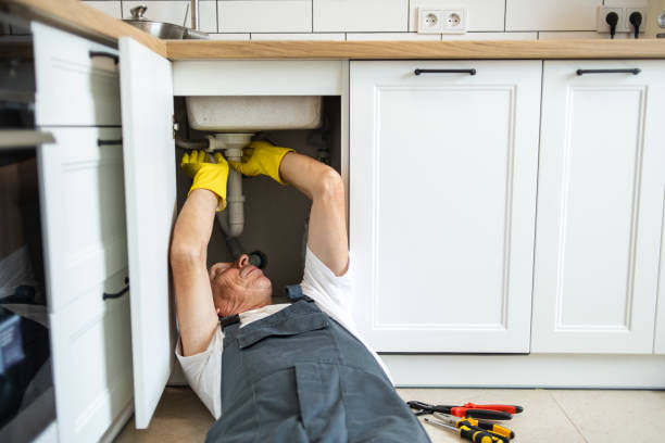 Best Local Plumber Services  in Le Claire, IA